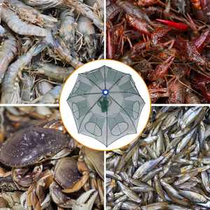 Filet d'appâts de pêche pliable à contraction automatique pour piège crabe crevette vairon crawdad poisson coulé maille pour l'aquaculture - Product Image 5