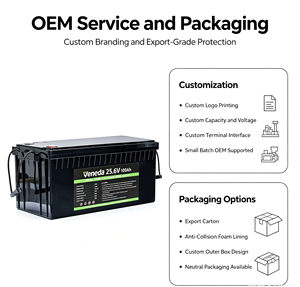 Batterie LiFePO4 24V 100Ah à décharge profonde pour stockage d'énergie solaire, alimentation de secours domestique, camping-car, marine, ESS, UPS - Fabricant OEM ODM - Product Image 6