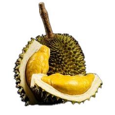 Durian frais congelé: entier et de qualité supérieure du Vietnam - Product Image 2