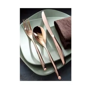 Ensemble de couverts en acier inoxydable moderne pour une utilisation contemporaine dans les restaurants et les hôtels - Product Image 2