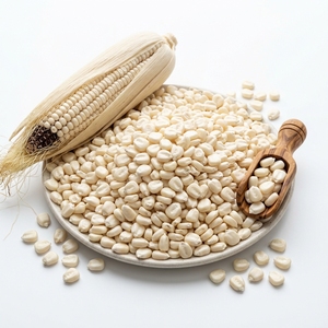 Maíz Blanco de Alta Calidad de Brasil, Grano de Maíz Premium, Sin OMG, Grado Alimenticio, Maíz Saludable, Suministro al por Mayor, Exportación - Product Image 5