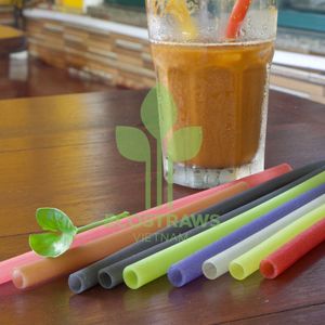 Pajitas biodegradables ecológicas, buena opción para beber a diario, embalaje personalizado, muestra gratuita, suministro a granel de fideos de Vietnam - Product Image 5