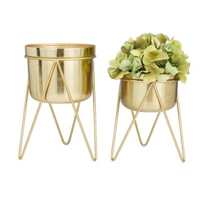 Maceta Alta de Metal con Diseño Minimalista para Vestíbulo, Terraza, Balcón y Espacios Interiores Contemporáneos - Product Image 5