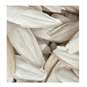 Alimento Premium de Hueso de Sepia para Aves, Ideal para Periquitos, Cacatúas, Agapornis y Loros Pequeños - Product Image 1