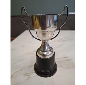 Trophée métallique professionnel très demandé avec impression de logo pour l'image de marque d'entreprise, disponible au prix d'usine - Product Image 1