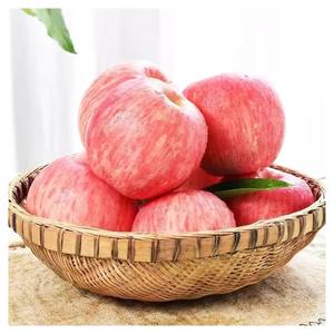 Manzanas Rojas Fuji de Calidad de Exportación, Proveedor al por Mayor, Manzanas Frescas, Naturales y Dulces para Mercados de Comercio Internacional - Product Image 1