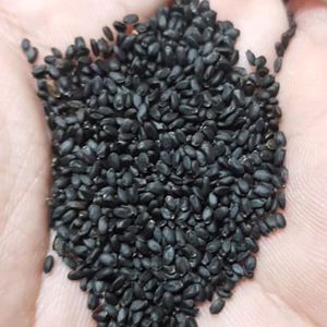 Organic black sesame <b>seeds</b> factory direct natural baking cooking ingredients customized <b>packing</b> wholesale bulk nutritious health - Product Image 6