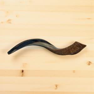 Cuerno de Shofar Kosher Pulido |   Corneta Religiosa Real Touch de Uttar Pradesh |   Chofar Judío - Product Image 3