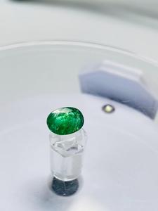 Émeraude naturelle zambienne ovale 1,64 ct, couleur verte premium, lustre excellent, qualité supérieure, pierre précieuse naturelle pour collectionneur - Product Image 1