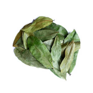 Hojas de Guanábana Vietnamita Secas al Sol de la Mejor Calidad, Puro Orgánico y Aromático, Cuidadosamente Seleccionadas, Compra al por Mayor OEM - Product Image 6