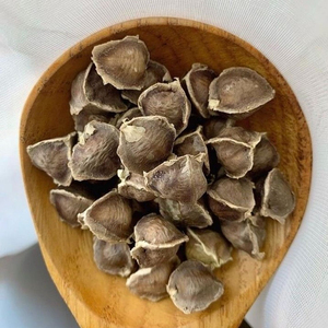 Graines de Moringa les plus vendues, prix compétitif, vente en gros de graines de Moringa Oleifera pour les acheteurs en gros - Product Image 3