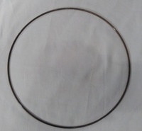 Offre Spéciale : Anneaux Circulaires en Fer de 21 cm de Diamètre pour Créations Florales, Finition Dorée, Faits Main, Attrape-rêves, Décorations Murales