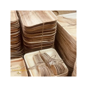Ensemble d'assiettes plates rondes en bois, vaisselle écologique biodégradable, design minimaliste, couleur unie, vaisselle de camping - Product Image 5