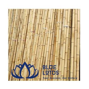 เสาไม้ไผ่คุณภาพสูง ทนทาน ใช้สำหรับค้ำยันต้นไม้ในฟาร์ม ขายส่ง - Product Image 1