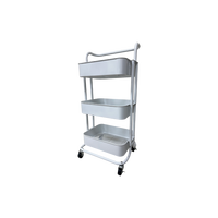 Carrito de Metal para Pestañas WOODEVER con Almacenamiento y Herramientas, Personalizable, Compatible con OEM/ODM/OBM, Origen China, Modelo WE2012-RC-01