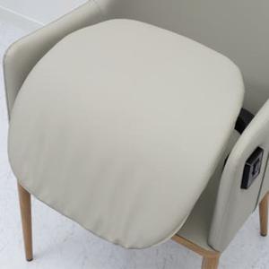 Silla Elevadora Eléctrica para Personas Mayores, Silla Reclinable para Sentarse y Ponerse de Pie, Silla de Apoyo para la Movilidad 154Chair - Product Image 3