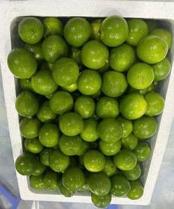 ผลไม้รสเปรี้ยวจากเวียดนาม-มะนาวสดไร้เมล็ดยี่ห้อ Vilaconic มะนาวสดอายุ2เดือน - Product Image 5