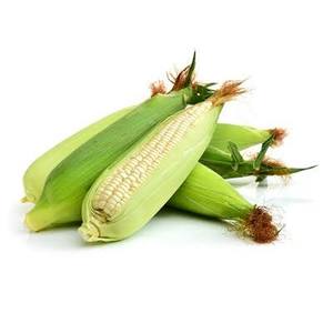 Boiled Sticky Rice Corn Vacuum Packed Ready to Eat Fresh Corn Cob Wholesale - Product Image 1