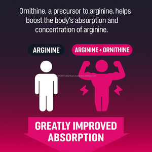 Polvo de L-Arginina de Alta Potencia con L-Ornitina y Taurina |   Suplemento de Aminoácidos para Adultos OEM Corea - Product Image 3