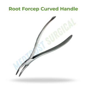 Forceps à racines courbés 300, instrument chirurgical dentaire pour l'extraction des racines dentaires - Product Image 2