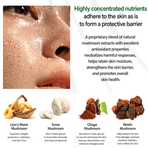 OEM ODM Korean Aloe Facial Mist Anti Wrinkle Hydrating Solid Mist for Dry Sensitive Skin Natural Cosmetic - Product Image 4