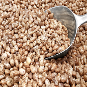 Haricots Pinto de qualité supérieure pour les entreprises agroalimentaires recherchant une approvisionnement fiable, des prix compétitifs et une qualité de produit constante - Product Image 1