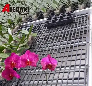 高效植物繁殖桌农场种植区高效风信子薰衣草小苍兰天竺葵杜鹃BNH-554