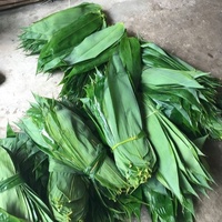 Vietnamese bamboebladeren gedroogd vers 45cm 7cm breedte 10% vochtigheid verse groene kleur cake verpakking Gimex Vietnam 1kg/zak 18 maanden