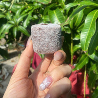 Boulettes de tourbe de coco du Vietnam Green Future Bloc de plantation Cocopeat Jiffy par Vietnam Pellets de coco de coco pour la plantation