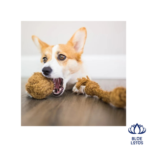 Balle en fibre de coco naturelle BLUE LOTUS, très vendue, pour animaux de compagnie, écologique, durable, non toxique, jouet à mâcher pour chien, soulagement de la dentition pour chiot, nettoyage des dents - Product Image 1