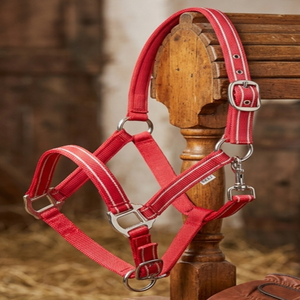 Nouveauté : Harnais pour cheval en nylon confortable et réglable, à rayures bicolores, avec ferrures en acier inoxydable nickelé - Product Image 2