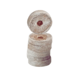 Produit phare : granulés de cocofibre à 95 % de pureté, de 3,5 à 4,2 cm, pour améliorer la structure du sol et favoriser une expansion vigoureuse des racines des plantes. - Product Image 1