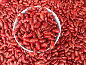 High Quality Indian <b>Red</b> Kidney Beans New Season Harvest for International Wholesale <b>Food</b> Suppliers - Product Image 6