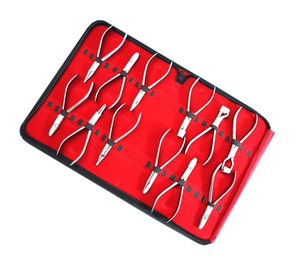 Kit de 12 Piezas de Pinzas para Extracción Dental, Pinzas Quirúrgicas para Extracción de Dientes en Adultos, Herramientas Dentales - Product Image 2