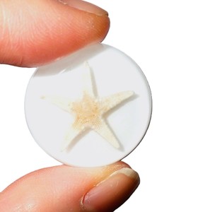 Estrella de Mar, Espécimen Real, Cabujón de Plástico Redondo de 25x25 mm, Base Plana Blanca para Manualidades y Joyería - Product Image 3