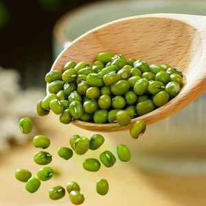 Venta de Frijoles Mung Secos de la Mejor Calidad para Exportación 2026, Saludables, Puros, Naturales, Frescos, al por Mayor, Suministro Directo de Fábrica, Ricos en Proteínas - Product Image 4