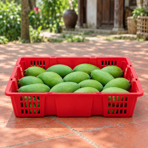 Cesta de Almacenamiento de Plástico Comercial, Caja Organizadora Apilable a Granel, Proveedor para Restaurantes, Soporte para Platos y Tazas, Cesta de Jardín para Cosecha, B2B - Product Image 5