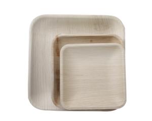 100% assiettes à dîner en feuille de palmier naturel plat carré biodégradable écologique pour les mariages en plein air fêtes cadeaux motif végétal - Product Image 2