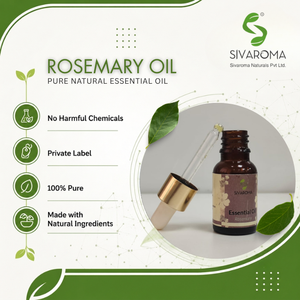 Huile essentielle de romarin de haute qualité pour les fabricants de produits cosmétiques, de soins capillaires et de soins personnels B2B - Product Image 2