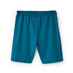Unisex Teal Embroidered <b>Shorts</b> <b>Spandex</b>/Polyester Quick Dry Breathable Drawstring Pockets Elastic Waist Casual Running Gym Sports - Product Image 2