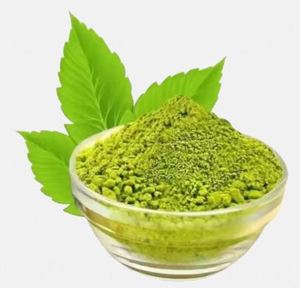 Polvo de Neem para Exportación, Polvo Herbal de Calidad, Suministro a Granel, Polvo de Neem de Alta Pureza, Proveedor de Ingredientes Herbales a Granel - Product Image 1