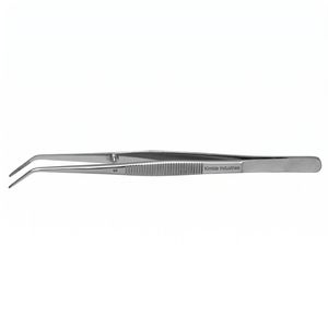 Pinzas Dentales Universitarias con Punta Angulada y Dentada de Acero Inoxidable, Pinzas para Algodón, Instrumento de Diagnóstico Clínico - Product Image 4