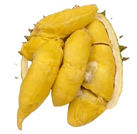 Groothandel Premium Hoge Kwaliteit D101 King Durian Vers Fruit Snelle Levering 4,5kg voor Vele Durianliefhebbers Kinderen Vietnam