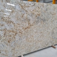 Dalles de granit Colonial Gold polies de grande taille pour comptoirs de villas et projets de revêtements intérieurs en pierre - Fournisseur