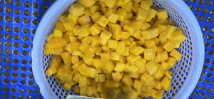 Cubes de mangue surgelés IQF naturels avec conservation de l'eau, haute qualité, emballage en vrac du Vietnam - Product Image 5