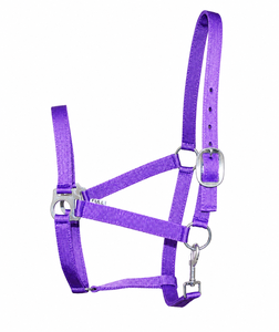 Harnais pour cheval en nylon violet avec boucles métalliques et mousqueton - Product Image 1