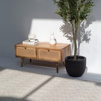 Meuble en bois avec tiroirs Vandana Zenova Ultra Rattan pour salon moderne et décoration contemporaine