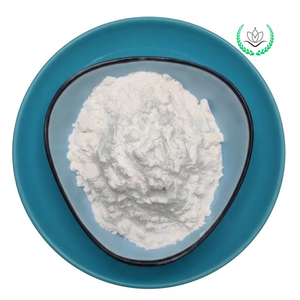 Polvo de Talco Superfino de Alta Blancura, Silicato de Magnesio Hidratado de Grado Industrial para Pintura, Directo de Fábrica - Product Image 5