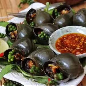 Pimienta verde congelada de Vietnam de grado premium para uso culinario con fuerte aroma natural y sabor picante - Product Image 5