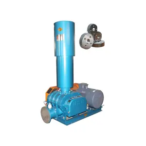 Customizable Roots Blowers for Specific Industrial Needs vacuum ship unloader Roots Blower